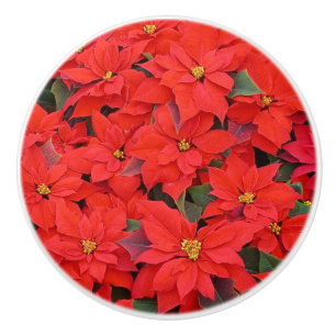 Pomo De Cerámica Poinsettias rojas Navidad la foto floral navideña