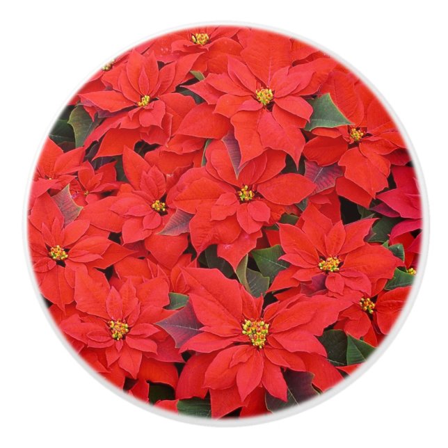 Pomo De Cerámica Poinsettias rojas Navidad la foto floral navideña (Anverso)