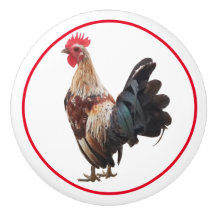 Pollo rústico de campo