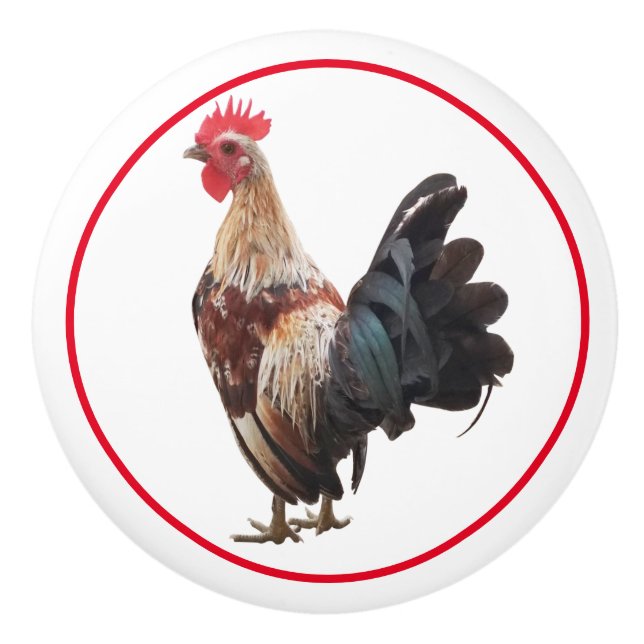 Pomo De Cerámica Pollo rústico de campo (Anverso)