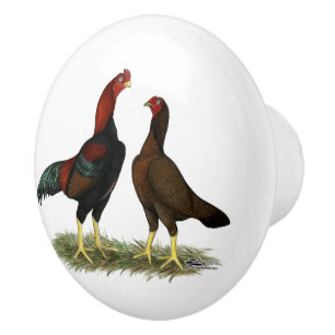 Pomo De Cerámica Pollos Aseel Black Red