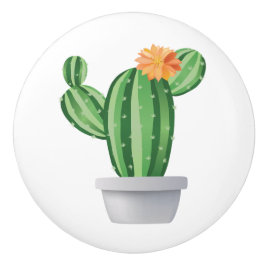 Pomo De Cerámica Pott Pricky Pear