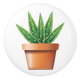 Pomo De Cerámica Potted Aloe Vera