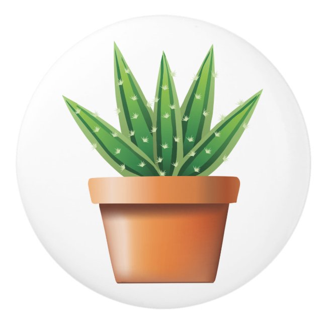 Pomo De Cerámica Potted Aloe Vera (Anverso)