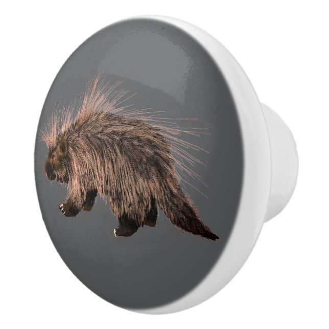 Pomo De Cerámica Pricky Porky (Derecha)