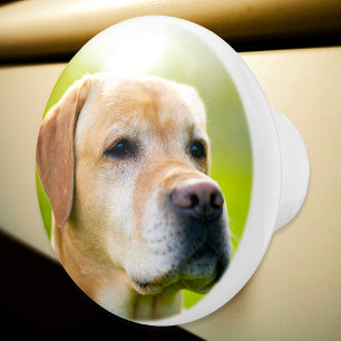 Pomo De Cerámica Puerta Y Cajón Personalizados De Foto personalizad