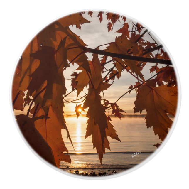 Pomo De Cerámica Punado de puerta fota hoja de arces (Anverso)