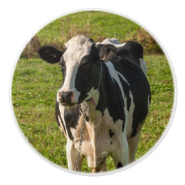 Pomo De Cerámica Punado de puerta, fotografía de vaca