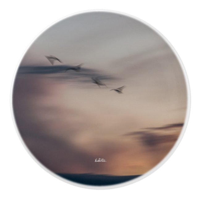 Pomo De Cerámica punado de puerta fotos pájaros abstracta (Anverso)