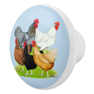 Pomo De Cerámica Quinteto de pollo vinculado al sexo