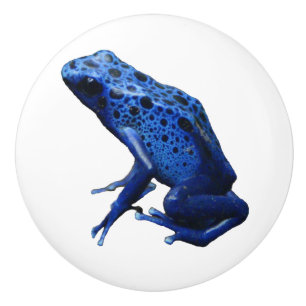 Pomo De Cerámica Rana Dart de veneno azul
