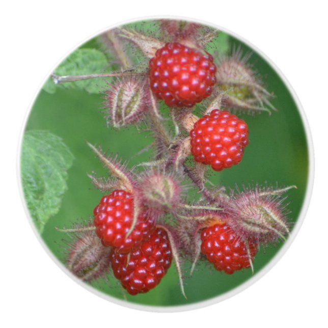 Pomo De Cerámica Raspberry Ceramic Knob (Anverso)