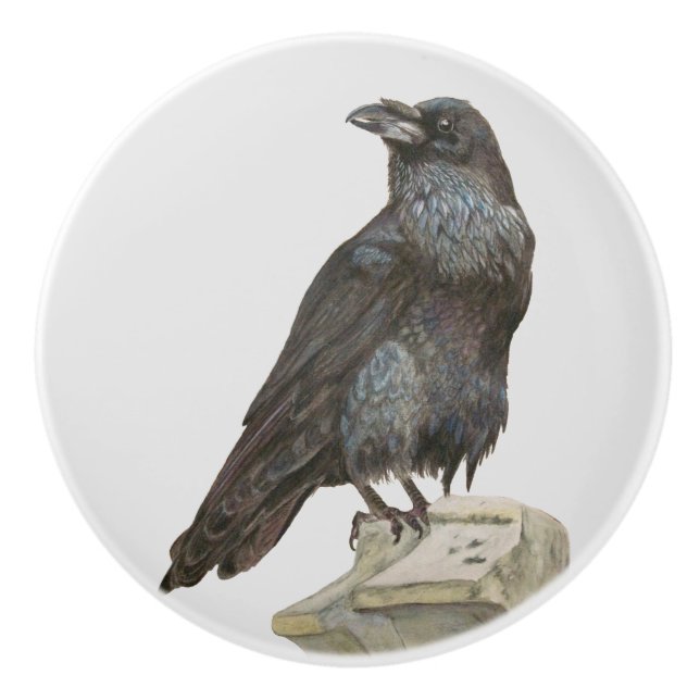 Pomo De Cerámica Raven (Anverso)