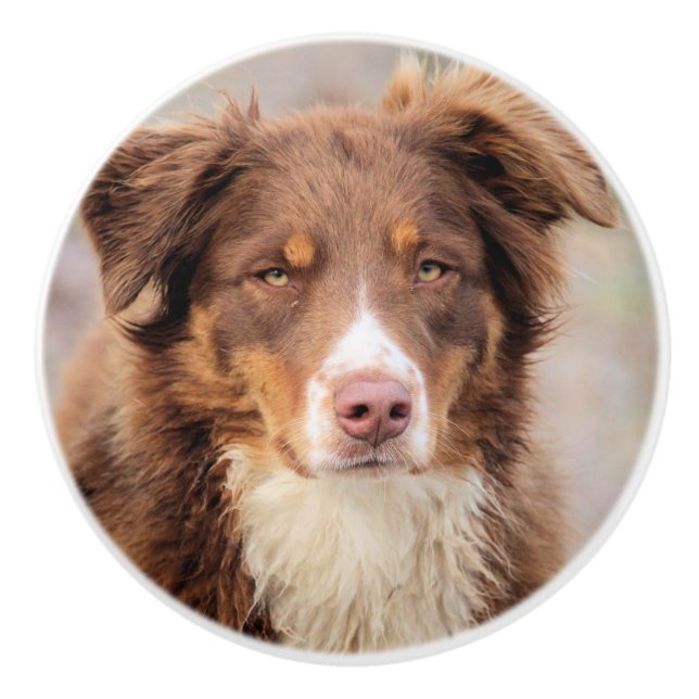 Pomo De Cerámica Red (Anverso)