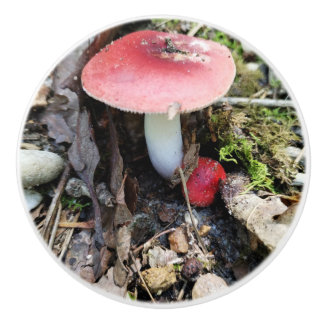 Pomo De Cerámica Red Mushroom Fairy Ceramic Knob
