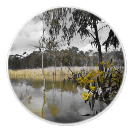 Pomo De Cerámica Reflexiones bajo los cielos grises