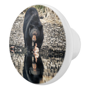 Pomo De Cerámica Reflexiones del oso negro