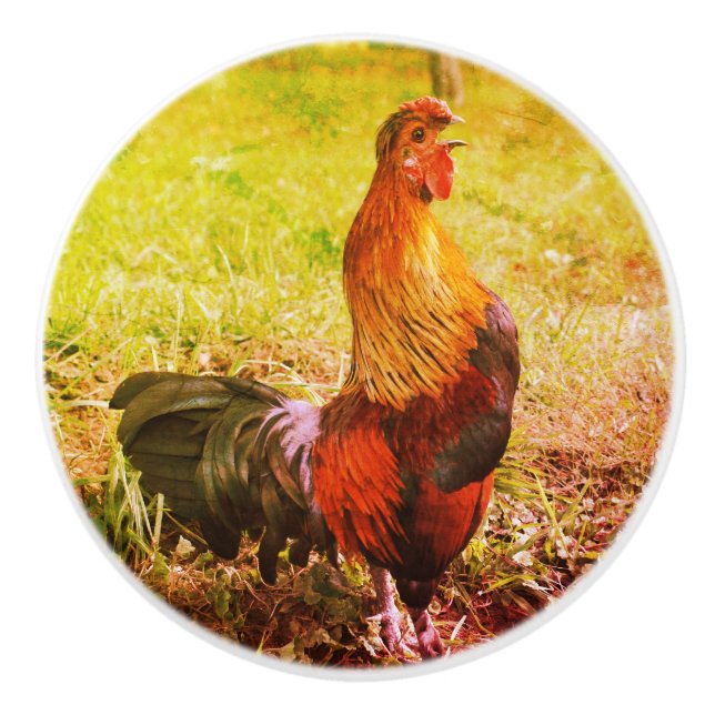 Pomo De Cerámica Resumen de animales de la granja de gallos de gall (Anverso)