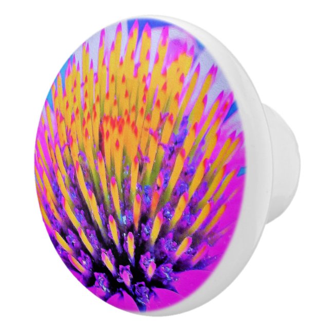 Pomo De Cerámica Resumen macroeconómico Conefluente rosa caliente y (Derecha)