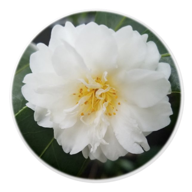 Pomo De Cerámica Ronda de flores de Camellia (Anverso)