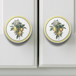 Pomo De Cerámica Ronda de frutas de limón 