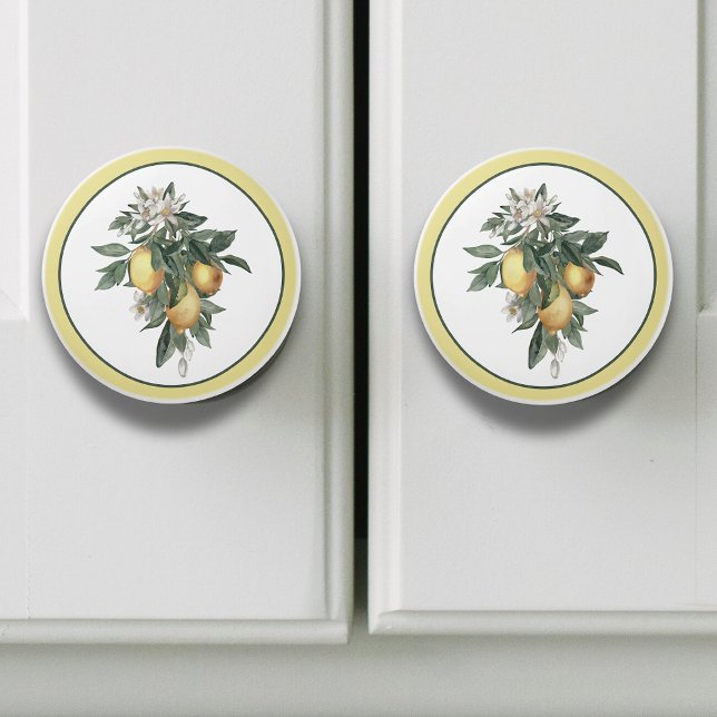 Pomo De Cerámica Ronda de frutas de limón  (Subido por el creador)