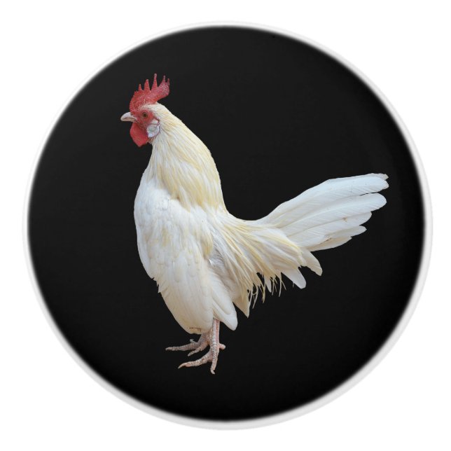 POMO DE CERÁMICA ROOSTER* BLANCO (Anverso)