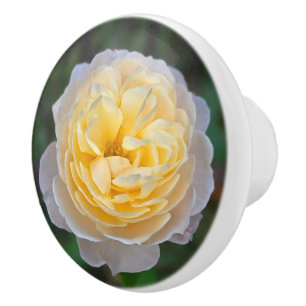 Pomo De Cerámica Rosa amarilla pastel rosa