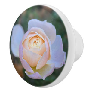 Pomo De Cerámica Rosa Amarilla Rosa Pastel