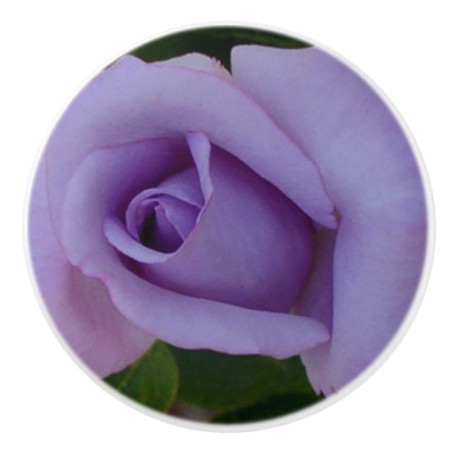 Pomo De Cerámica Rosa Lavender (Anverso)