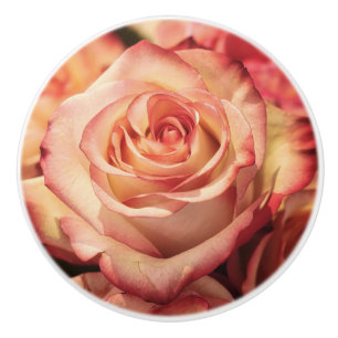 Pomo De Cerámica Rosa Pétalos de flores Cajón de papel para cajón d