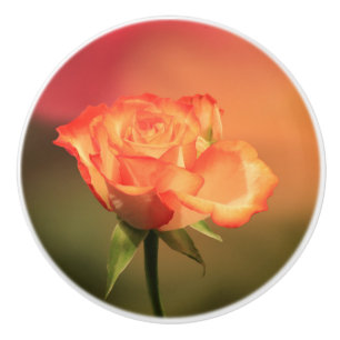 Pomo De Cerámica Rosa romántico