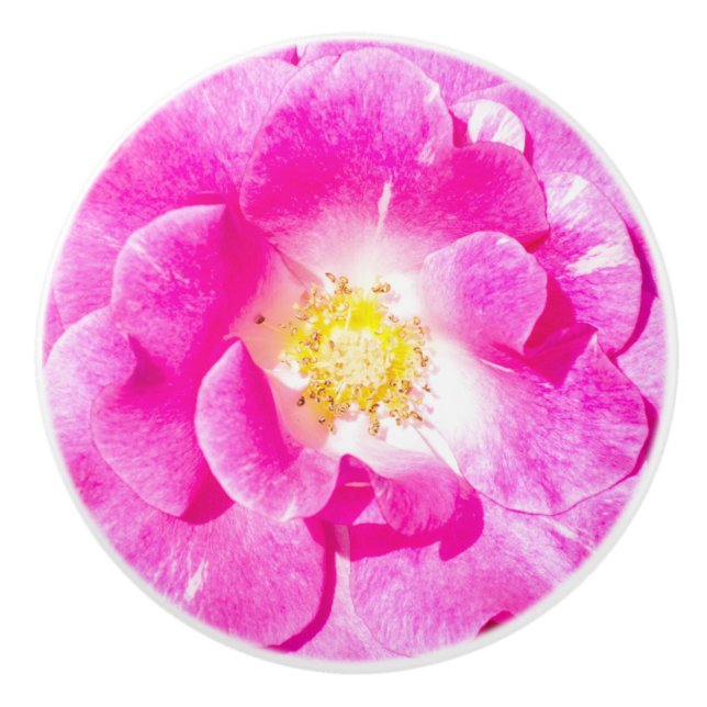 Pomo De Cerámica Rosa rosa (Anverso)