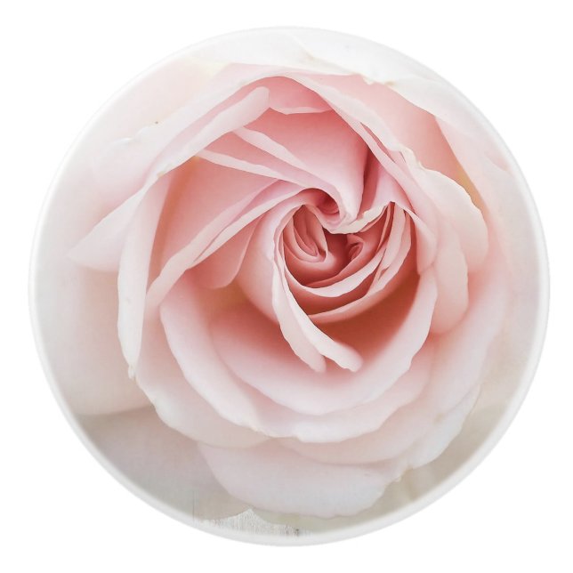 Pomo De Cerámica Rosa Rosa Blanca Madera Shabby Chic Farmhouse Flor (Anverso)