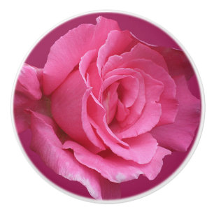 Pomo De Cerámica Rosa rosa moderno moderno de moda boho hermoso