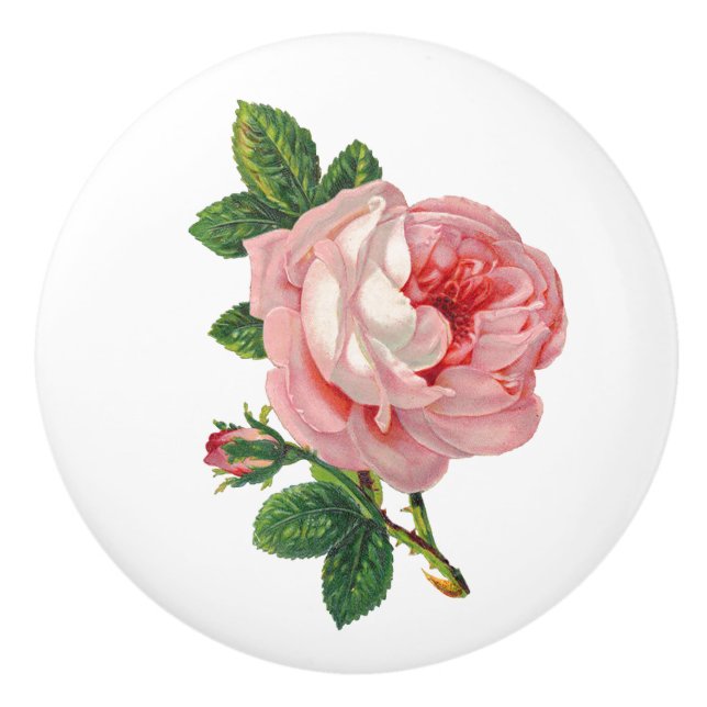 Pomo De Cerámica Rosa rosa rosa vintage Botánico (Anverso)