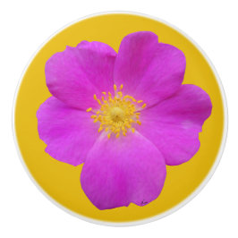 Pomo De Cerámica Rosa salvaje 2