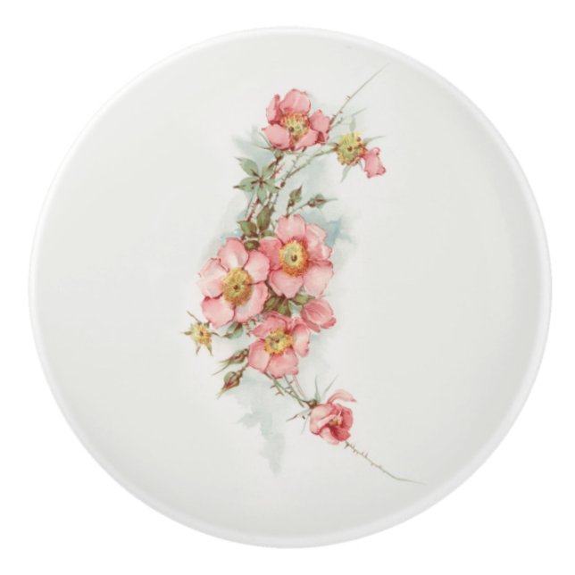 Pomo De Cerámica Rosas salvajes de estilo pintado a mano (Anverso)