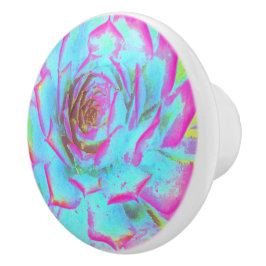 Pomo De Cerámica Rosette de sedición azul y rosa caliente