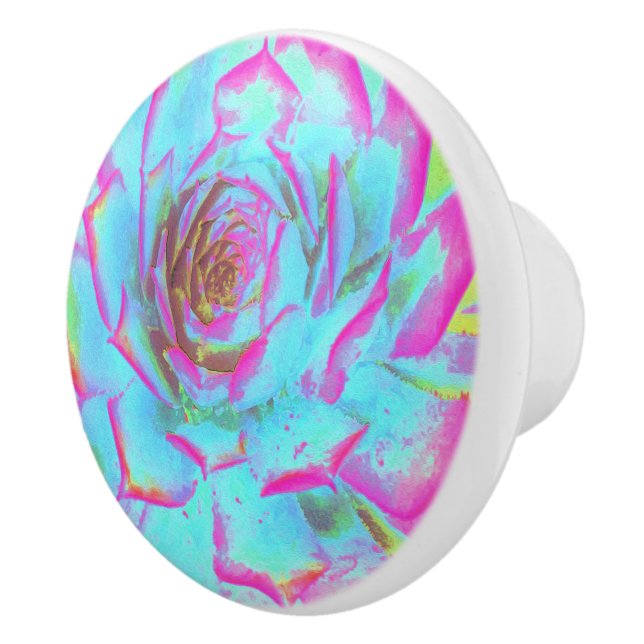 Pomo De Cerámica Rosette de sedición azul y rosa caliente (Derecha)