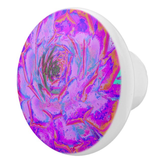 Pomo De Cerámica Rosette de sedum con sabor morado y magenta (Derecha)