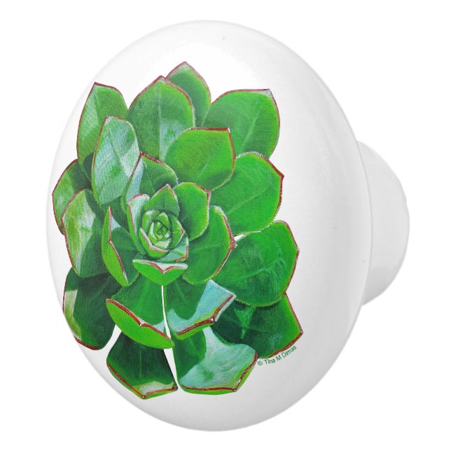 Pomo De Cerámica Rosette Succulum Ceramic Knob (Derecha)