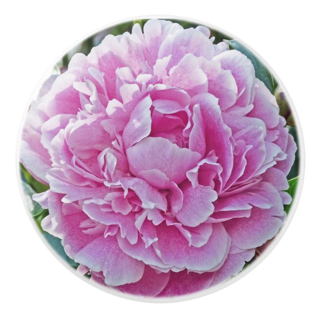 Pomo De Cerámica "Rufas De Peón Rosa" (Anverso)