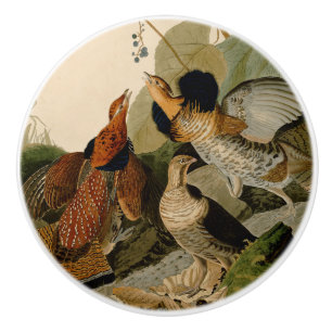 Pomo De Cerámica Ruffed Grouse Audubon Game Bird
