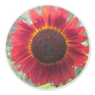 Pomo De Cerámica Rusty Sunflower Ceramic Knob