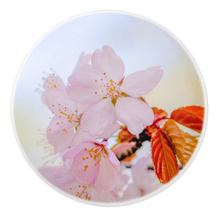 Pomo De Cerámica Sakura - Flor japonesa de cerezo
