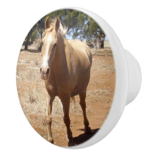 Pomo De Cerámica Saludo a Caballo de Palomino,