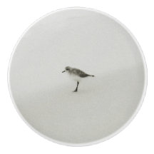 Sandpiper costero en la playa