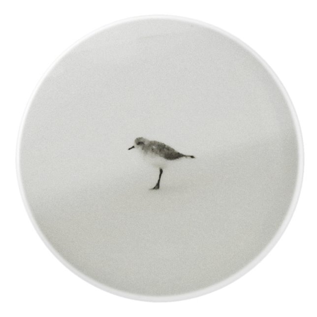 Pomo De Cerámica Sandpiper costero en la playa (Anverso)