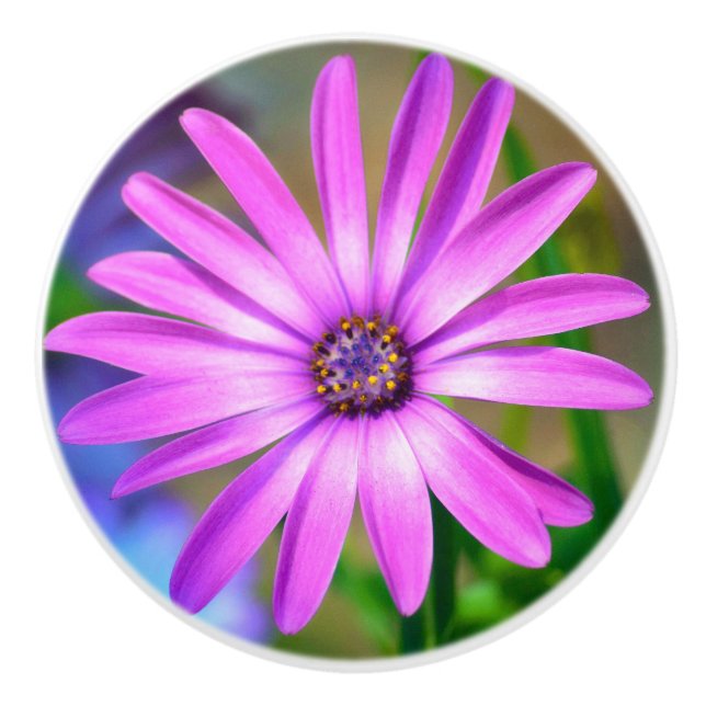 Pomo De Cerámica Se trata de mí Daisy Ceramic Knob (Anverso)